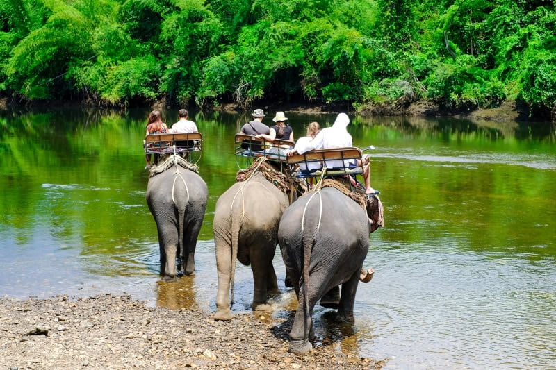 elephants-ride-tourists-near-the-river-in-the-rain