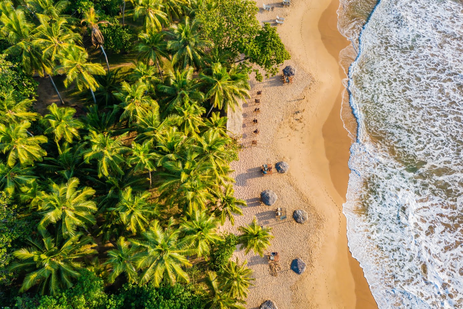 Sandy beach at sunset. Sri Lanka, Drone photo